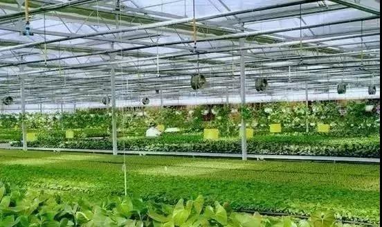 &#27431;&#23453;&#32593;&#39029;&#29256;&#30331;&#24405;&#20837;&#21475;&#45;&#27431;&#23453;&#111;&#110;&#108;&#105;&#110;&#101;&#40;&#20013;&#22269;&#41;