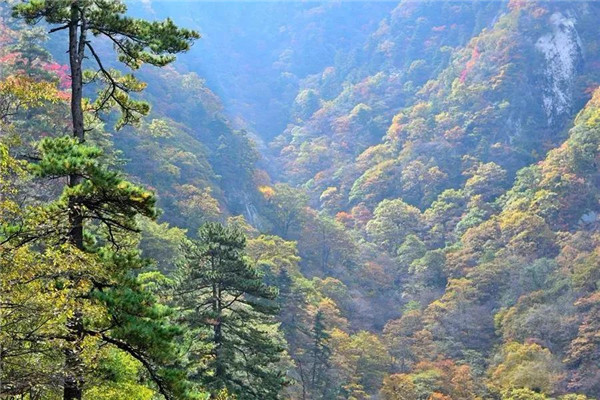 &#27431;&#23453;&#32593;&#39029;&#29256;&#30331;&#24405;&#20837;&#21475;&#45;&#27431;&#23453;&#111;&#110;&#108;&#105;&#110;&#101;&#40;&#20013;&#22269;&#41;