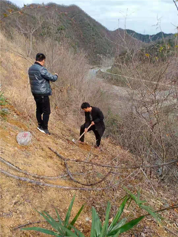 &#27431;&#23453;&#32593;&#39029;&#29256;&#30331;&#24405;&#20837;&#21475;&#45;&#27431;&#23453;&#111;&#110;&#108;&#105;&#110;&#101;&#40;&#20013;&#22269;&#41;