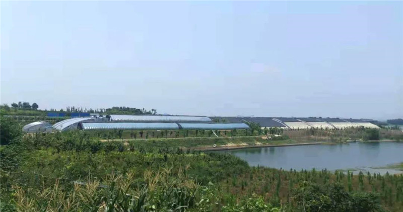 &#27431;&#23453;&#32593;&#39029;&#29256;&#30331;&#24405;&#20837;&#21475;&#45;&#27431;&#23453;&#111;&#110;&#108;&#105;&#110;&#101;&#40;&#20013;&#22269;&#41;