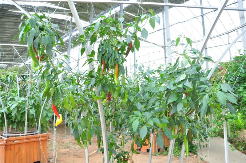 &#27431;&#23453;&#32593;&#39029;&#29256;&#30331;&#24405;&#20837;&#21475;&#45;&#27431;&#23453;&#111;&#110;&#108;&#105;&#110;&#101;&#40;&#20013;&#22269;&#41;