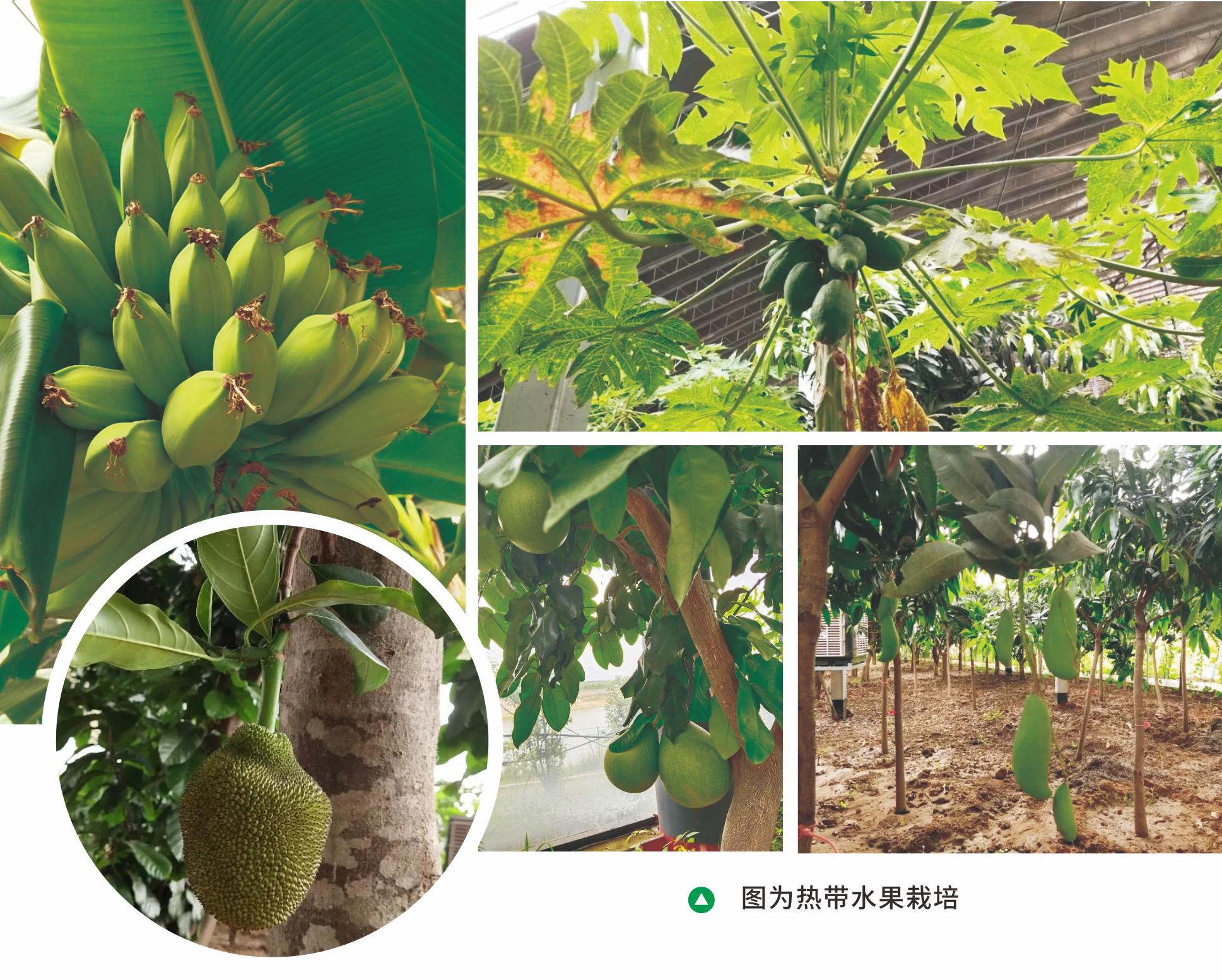 &#27431;&#23453;&#32593;&#39029;&#29256;&#30331;&#24405;&#20837;&#21475;&#45;&#27431;&#23453;&#111;&#110;&#108;&#105;&#110;&#101;&#40;&#20013;&#22269;&#41;